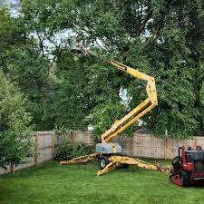 Best Utility Line Clearance  in White River Junction, VT